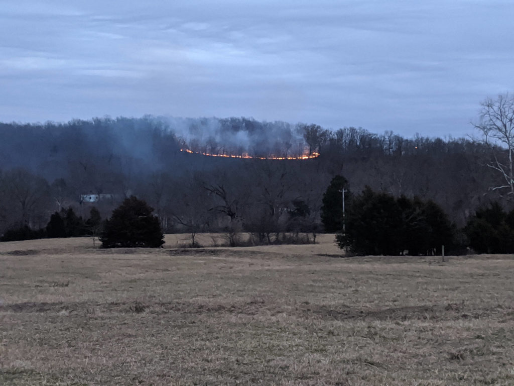 A different angle of the neighbor's hill.